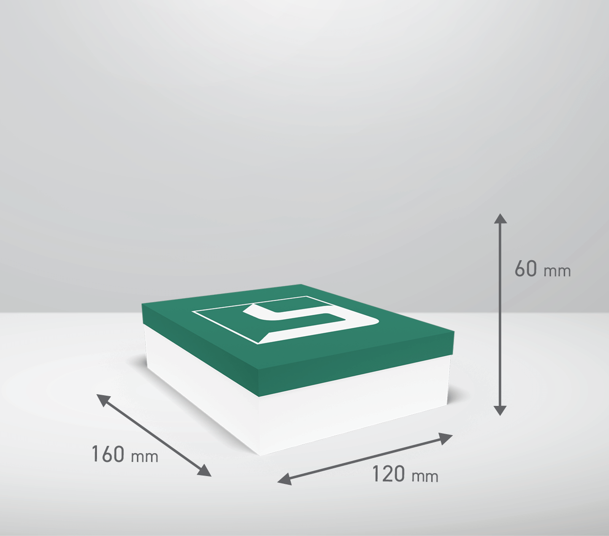 Škatla s pokrovom: 160x120x60 mm (D1)