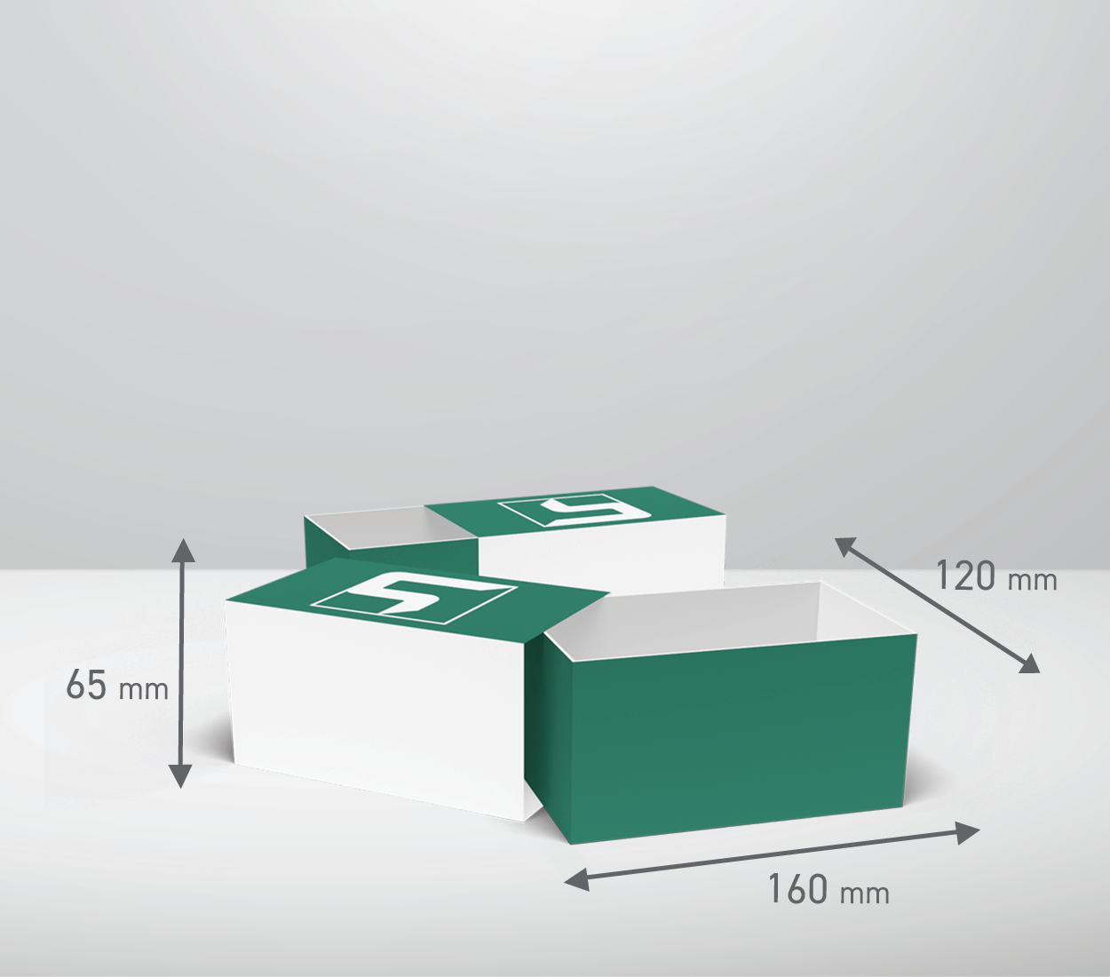 Izvlečna škatla: 160x120x65 mm (D1)