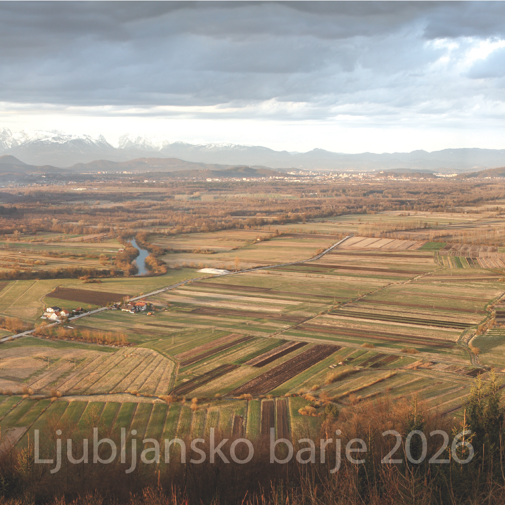 Art.100004 - Koledar BORI_stenski - LJUBLJANSKO BARJE: 300x300 mm - kvadrat, spirala sredina