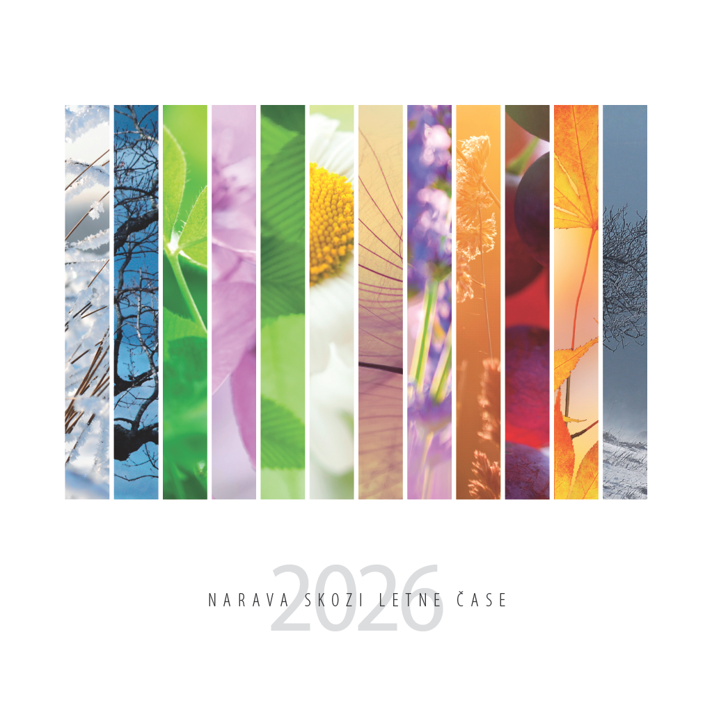 Art.100009 - Koledar BORI_stenski - NARAVA SKOZI LETNE ČASE: 300x300 mm - kvadrat, spirala sredina