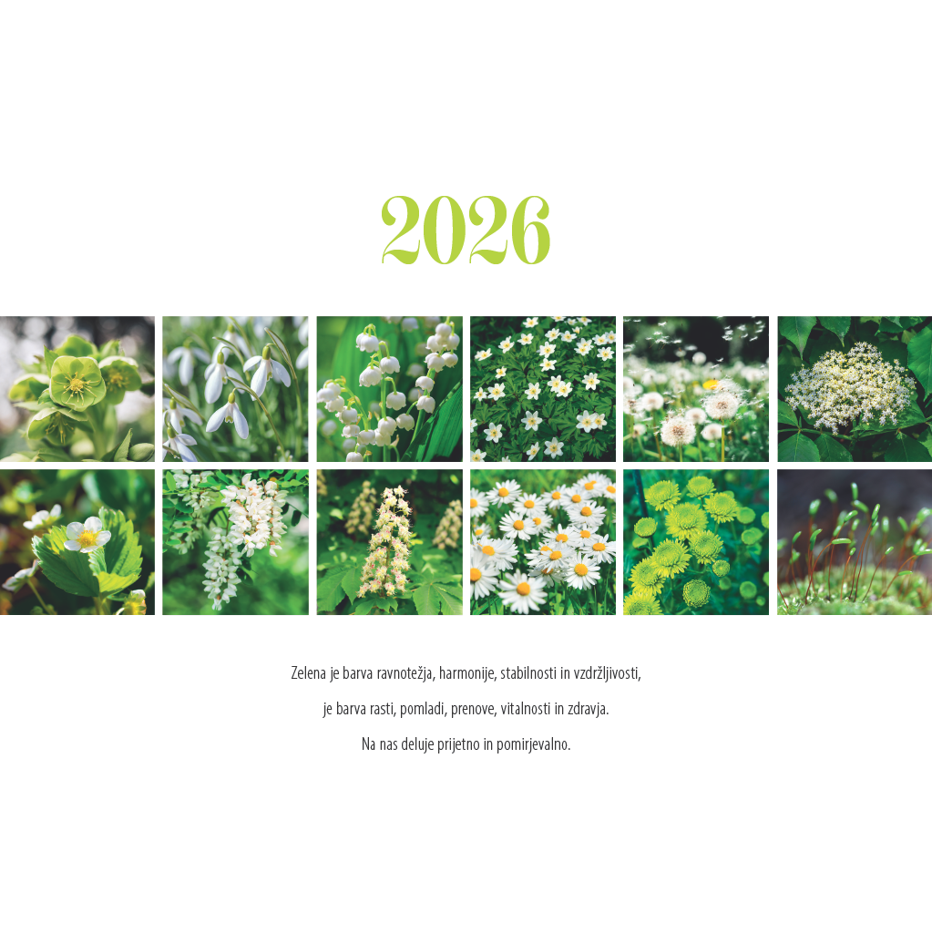 Art.100010 - Koledar BORI_stenski - ZELENO: 300x300 mm - kvadrat, spirala sredina