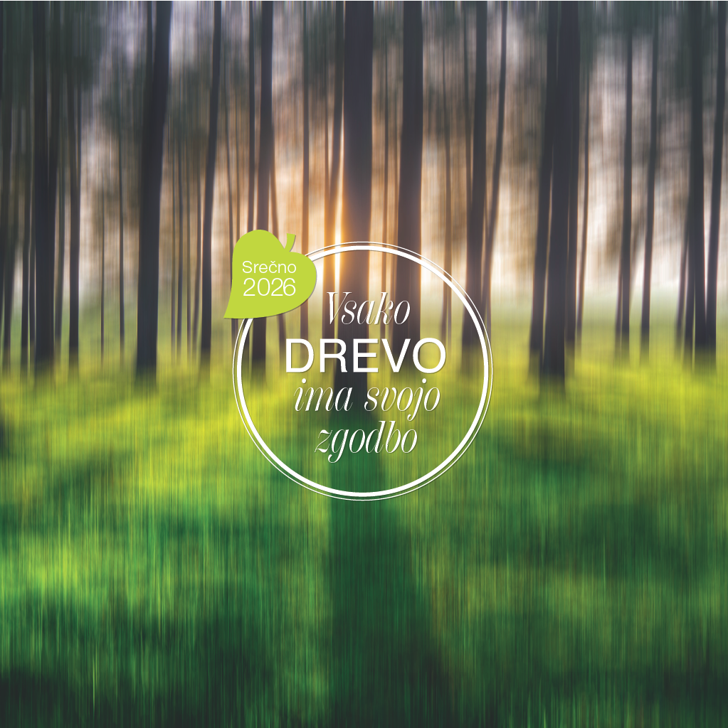 Art.100012 - Koledar BORI_stenski - DREVO: 300x300 mm - kvadrat, spirala sredina