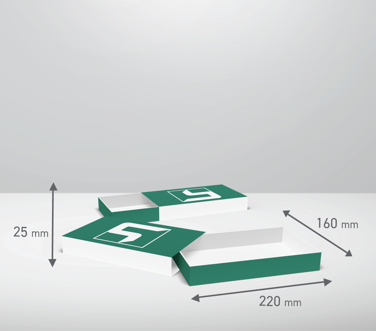 Izvlečna škatla: 220x160x25 mm (D1)