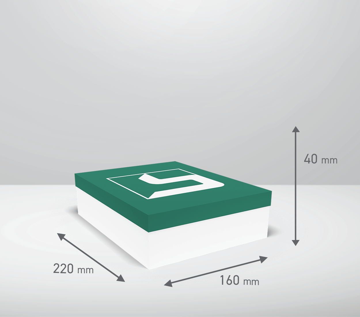Škatla s pokrovom: 220x160x40 mm (D1X)