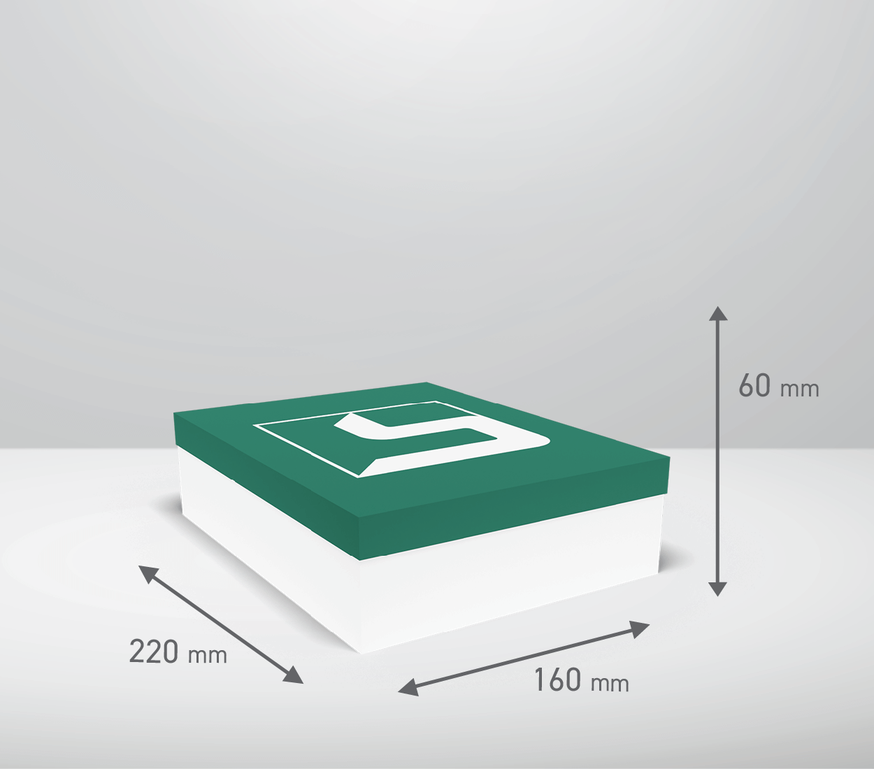 Škatla s pokrovom: 220x160x60 mm (D1)