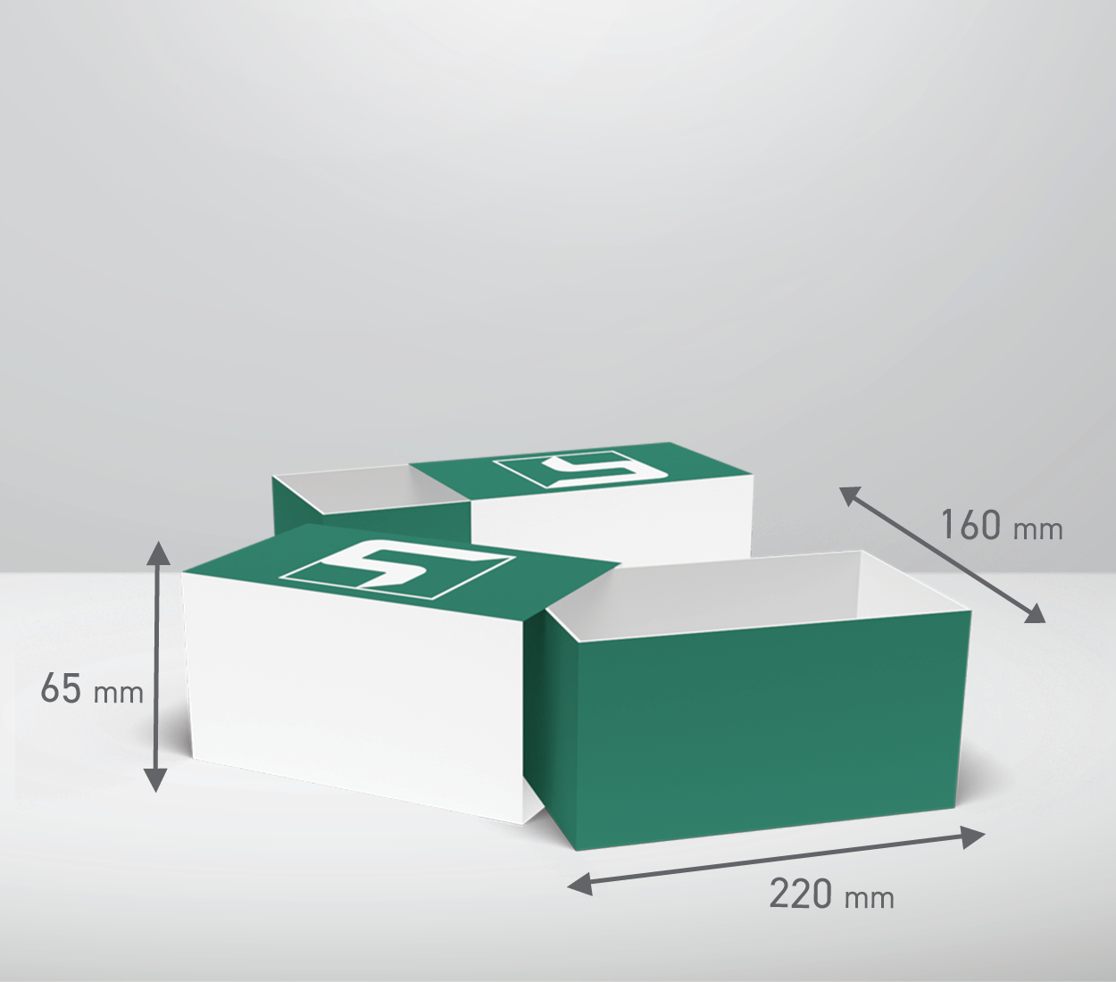 Izvlečna škatla: 220x160x65 mm (D1X)