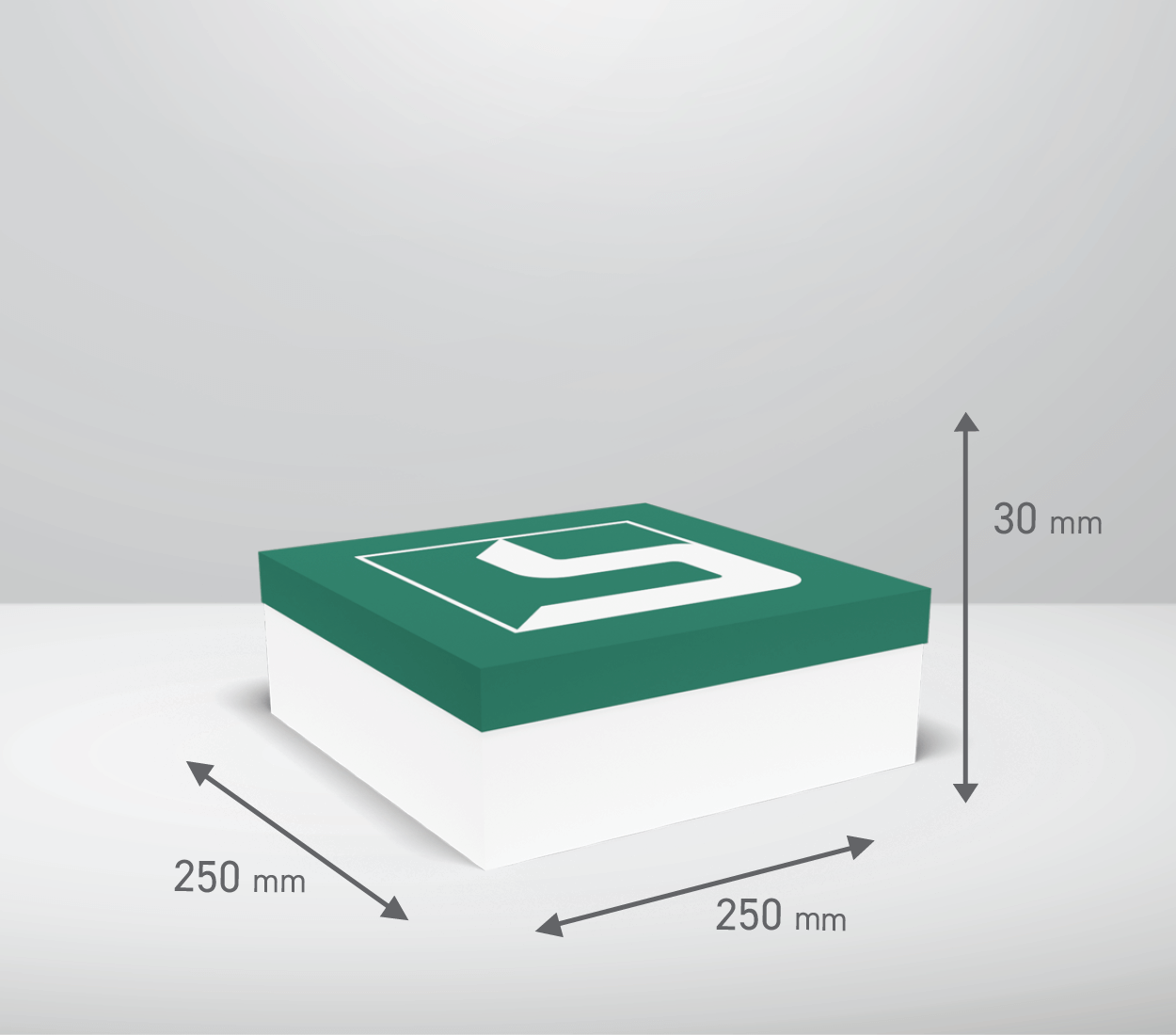 Škatla s pokrovom: 250x250x30 mm (D1)