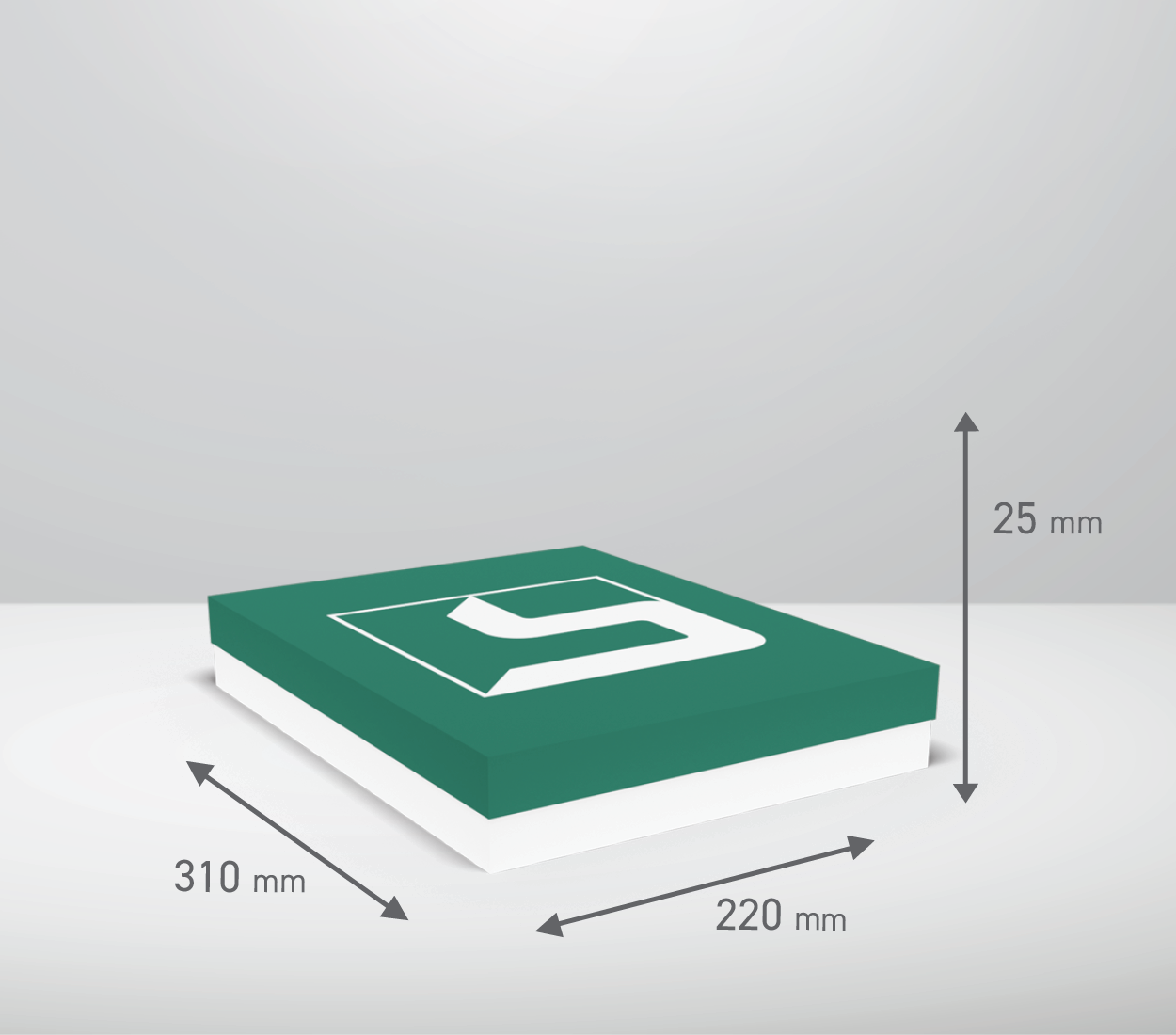 Škatla s pokrovom: 310x220x25 mm (D1X)