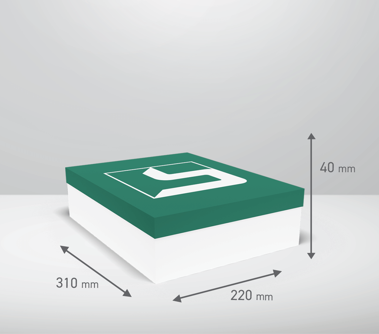 Škatla s pokrovom: 310x220x40 mm (D1)