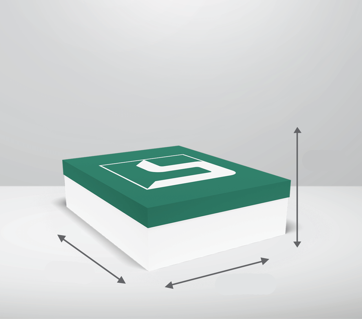 Škatla s pokrovom: 313x225x57 mm (D1)